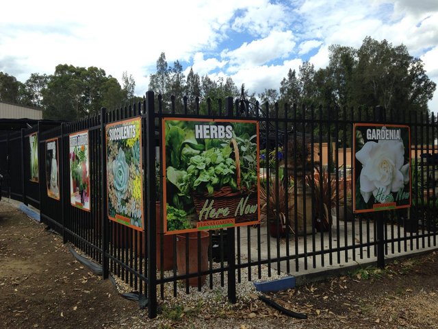 Corflute Sign by No Limit Digital, Wyong NSW - example 6