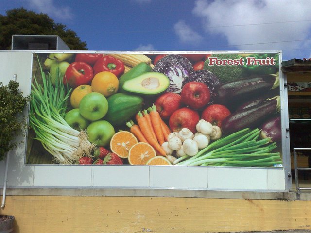Signage by No Limit Digital, Wyong NSW - example 20