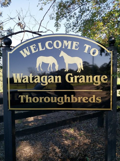 Signage by No Limit Digital, Wyong NSW - example 82